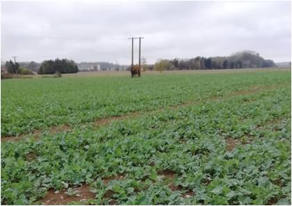 photographie de parcelle de Moussey