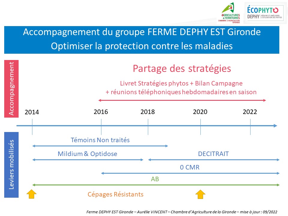 Accompagnment du groupe et leviers mobilisés