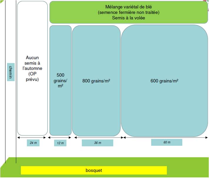 Carte annotée des parcelles expérimentales
