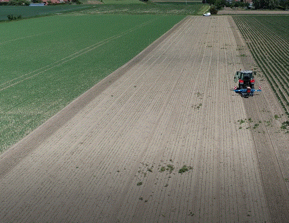 parcelle agri minipest