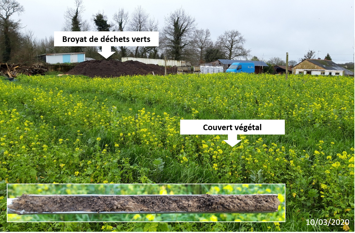 Planches permanentes avec couvert végétal et broyat de déchets verts