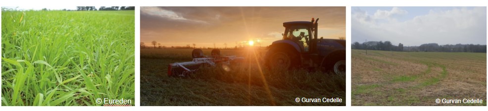 couverts et destruction couvert gelé 2021