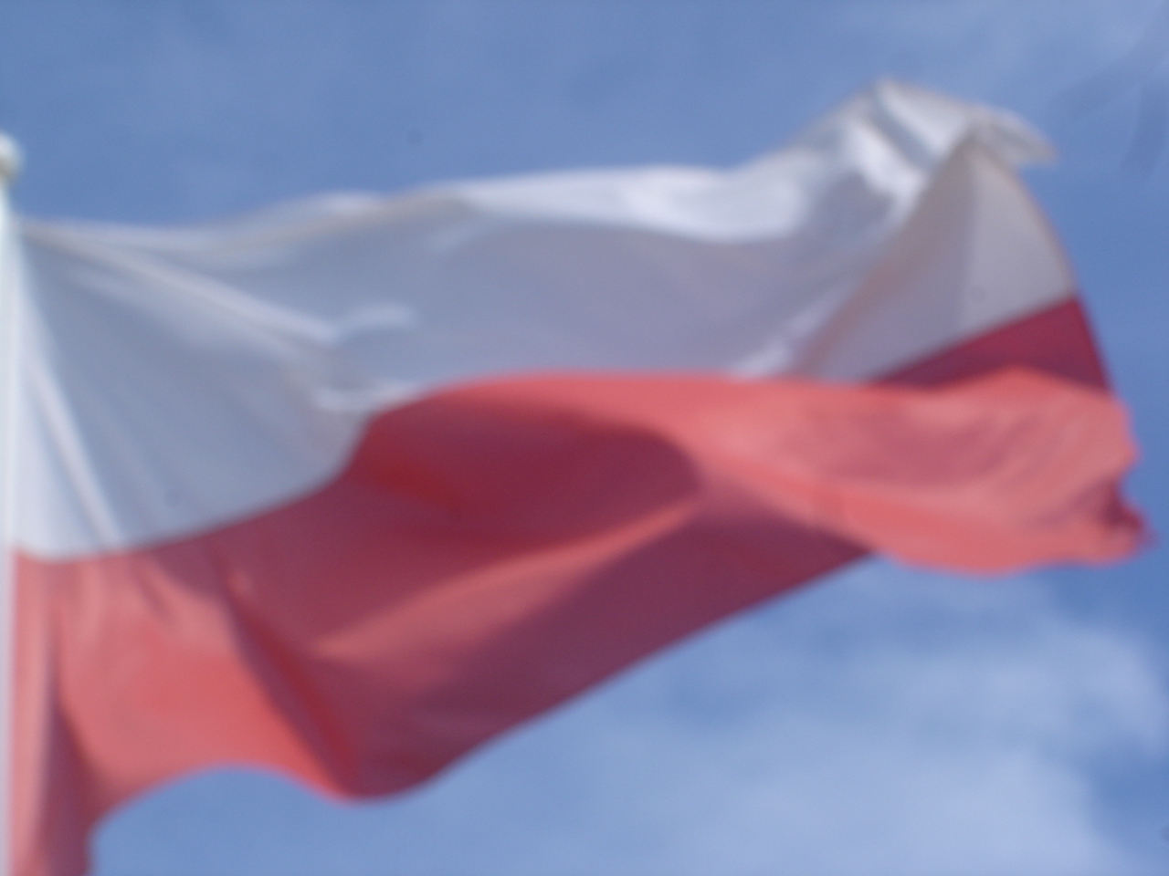drapeau pologne