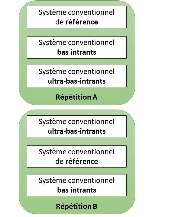 Plan pour le site du Caté