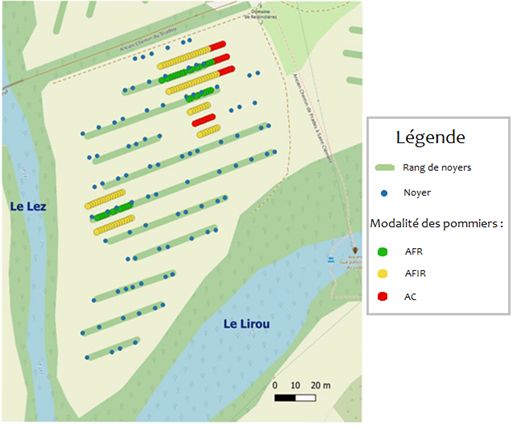 Plan de la parcelle GAFAM (extrait du mémoire de Paul Masquin, stage M2, 2020)