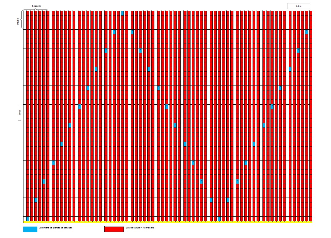 Plan de la serre CMO