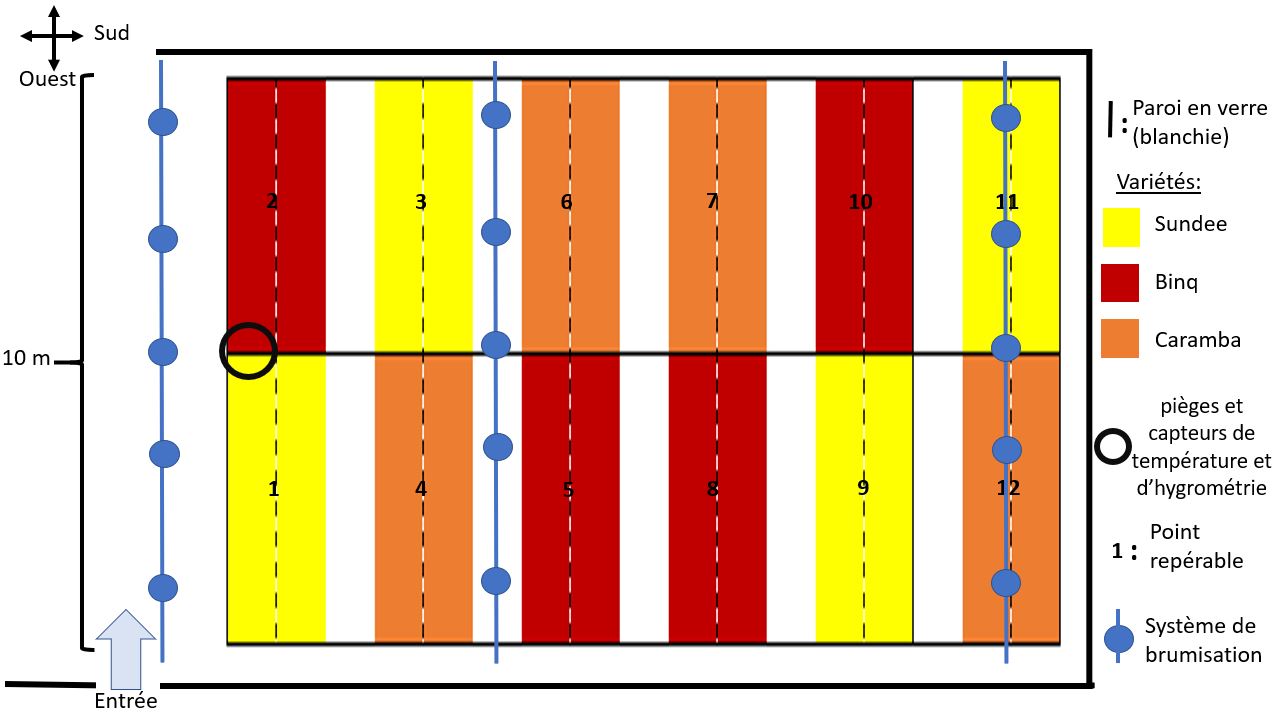 Schéma de la serre de Gerbera, DEPHY 2.ZERHO