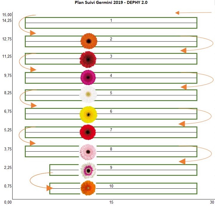 plan gerbera prod 2019