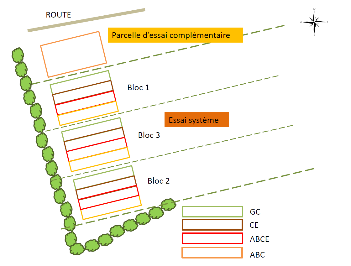 plan du positionnement des blocs
