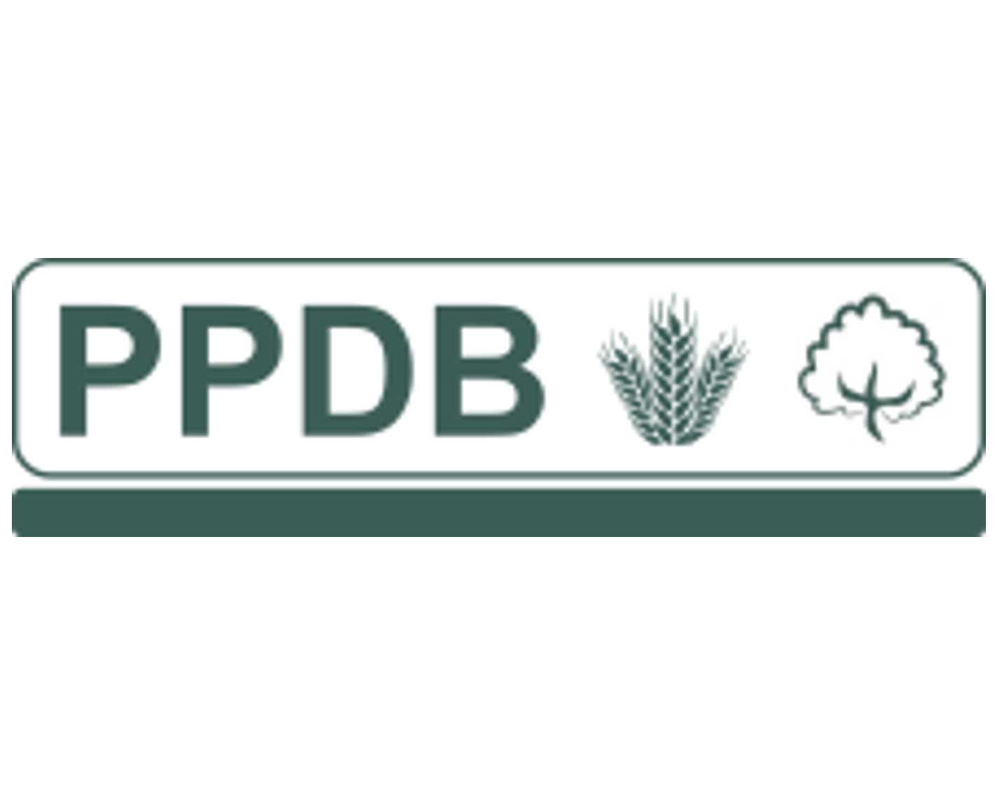 ppdb