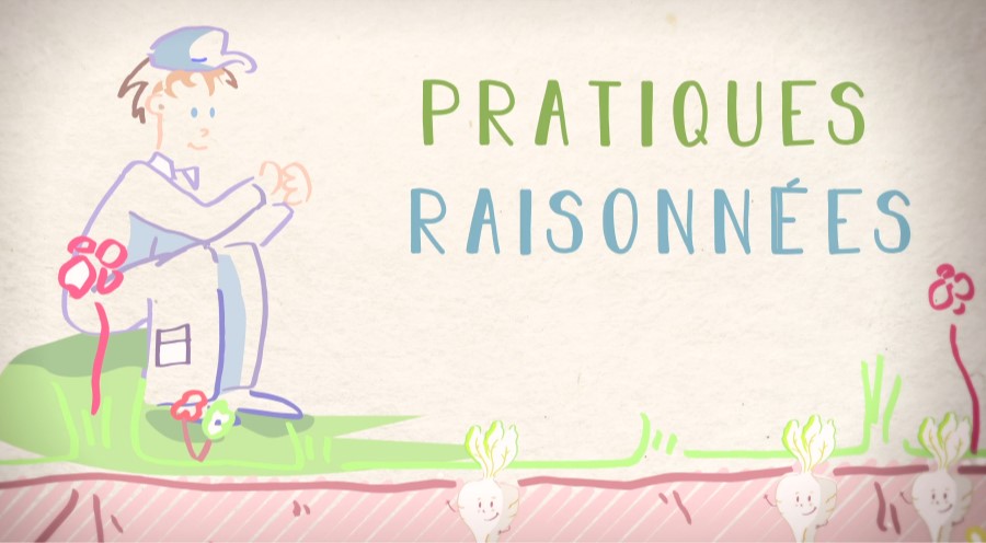 extrait de la vidéo