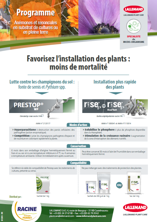 programme Racine-Lallemand