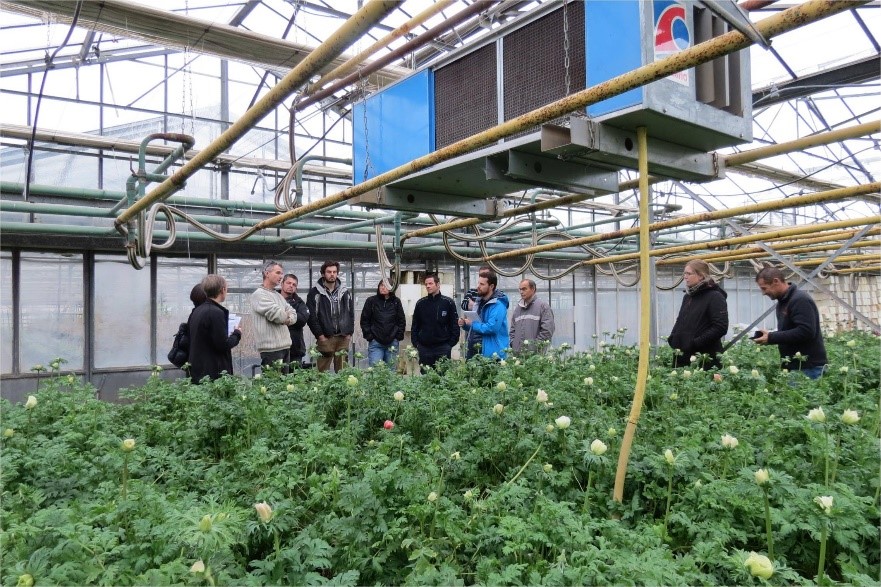 ​  Réunion de groupe sur la gestion de l’hygrométrie sous abris  ​