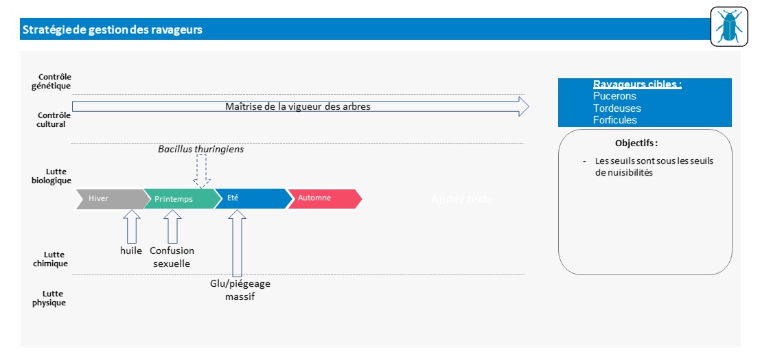 Schéma décisionnel ravageurs
