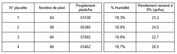 rendement tournesol en 2021
