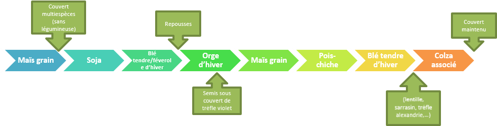 Frise rotation culturale de 8 ans