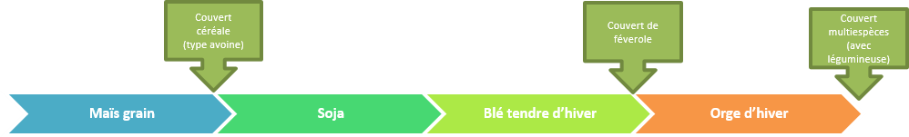 Frise rotation fertilité