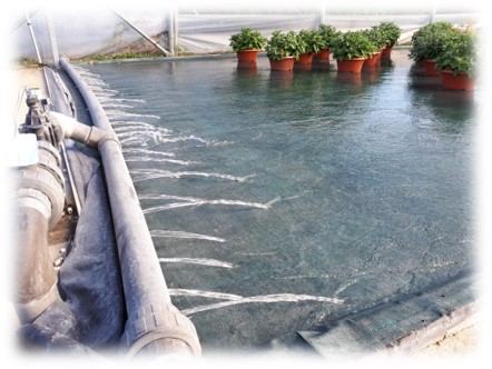 Arrosage par ruissellement