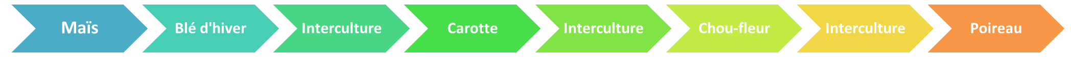 Succession: Maïs-Blé-IC-Carotte-IC-Chou-fleur-IC-Poireau