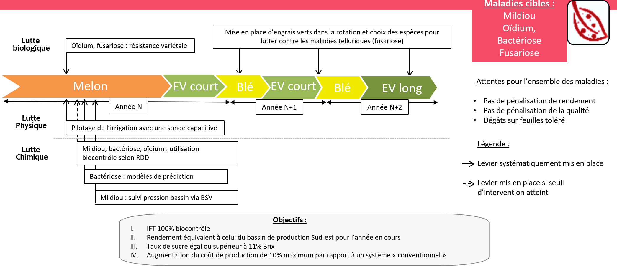 Schéma décisionnel du système de culture AGRECOMEL - CTIFL - maladies