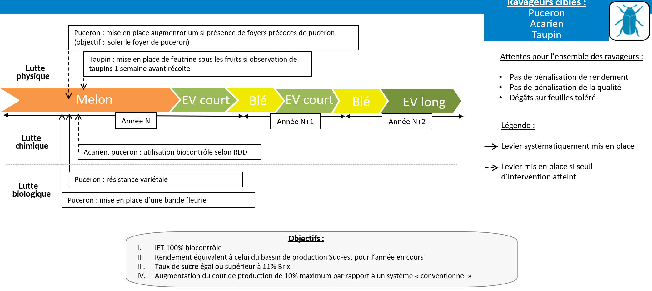 Schéma décisionnel du système de culture AGRECOMEL - CTIFL - ravageurs