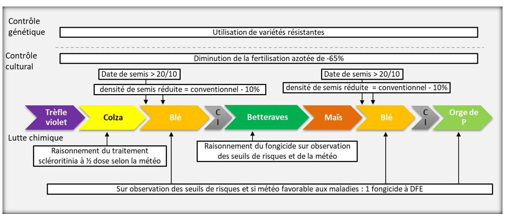 schéma décisionnel de gestion des maladies système T5