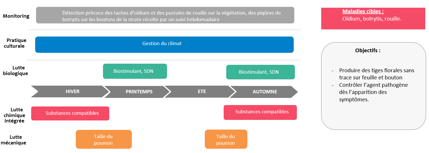 Schéma décisionnel maladies