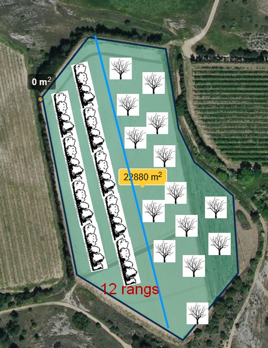 schéma disposif expérimental