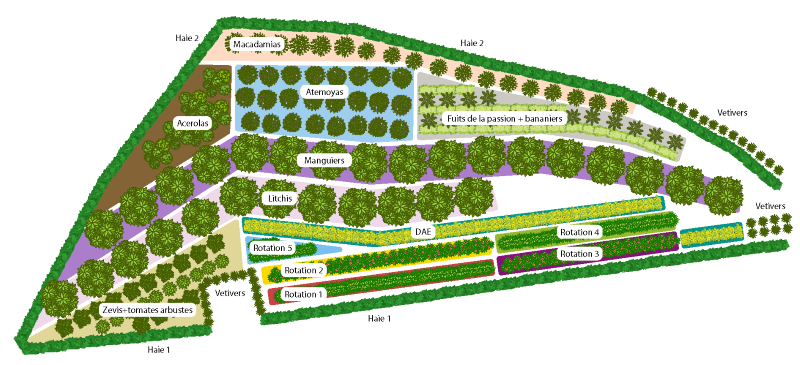 Système de culture ARMEFLHOR