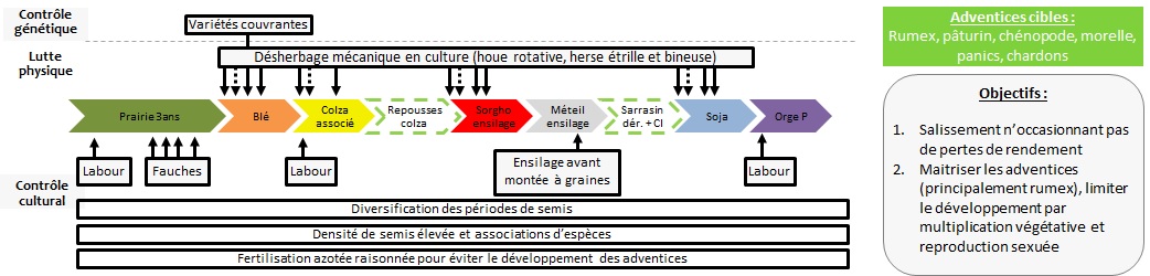 schéma décisionnel adventices