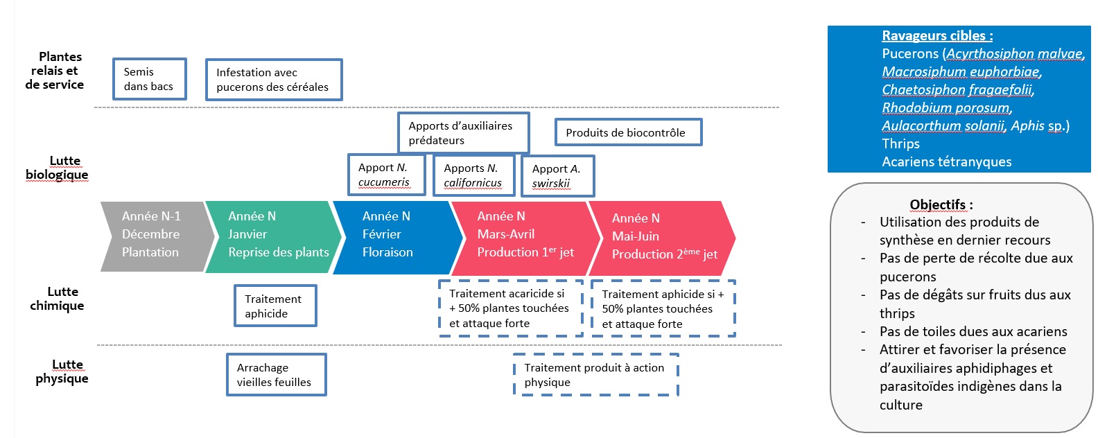 frise chronologique des interventions culturales contre ravageurs