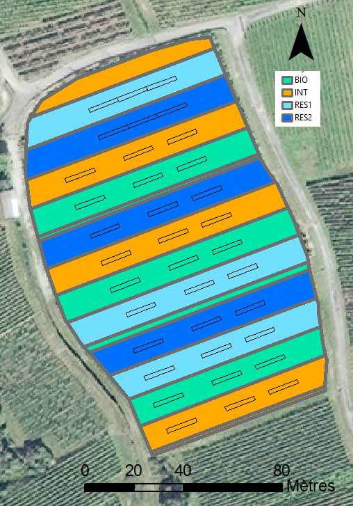 Schéma du dispositif expérimental de Wintzenheim