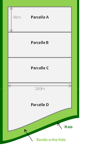 Schéma du dispositif Rés0Pest de Lusignan