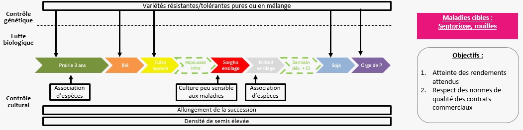 Schéma décisionnel maladies