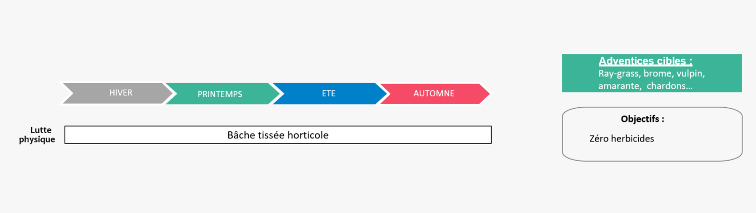 Schéma décisionnel adventices système Eco 1