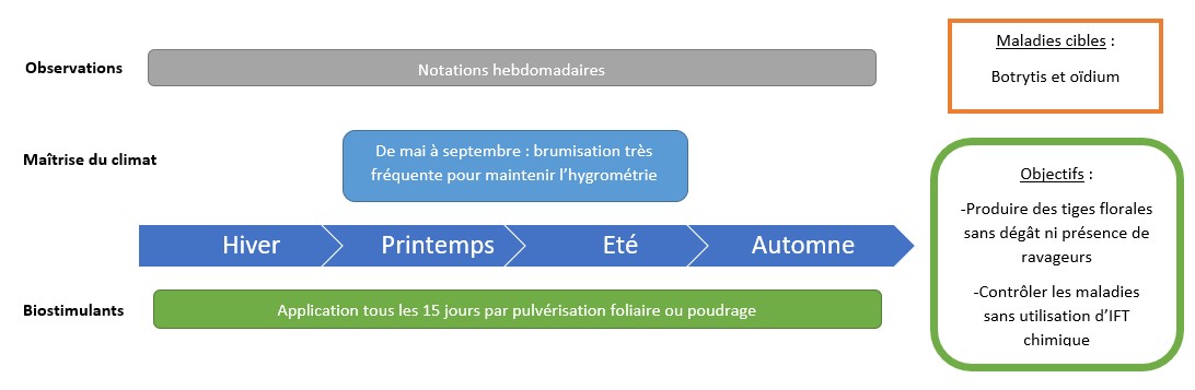 Schéma décisionnel maladies