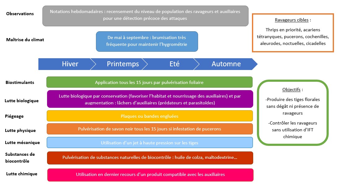 Schéma décisionnel ravageurs