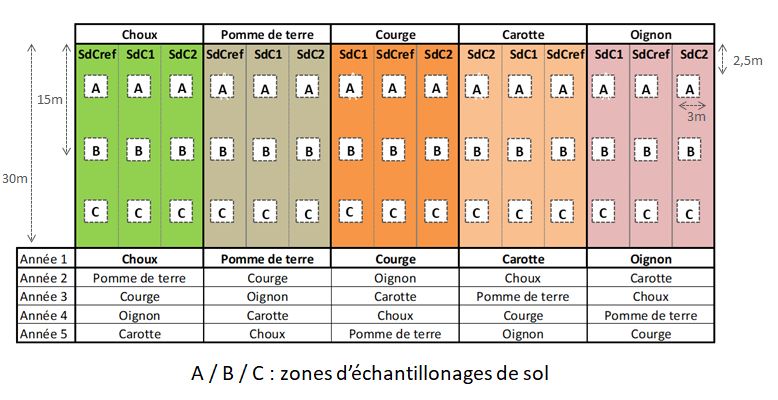 schemaexperimentalSuscinio