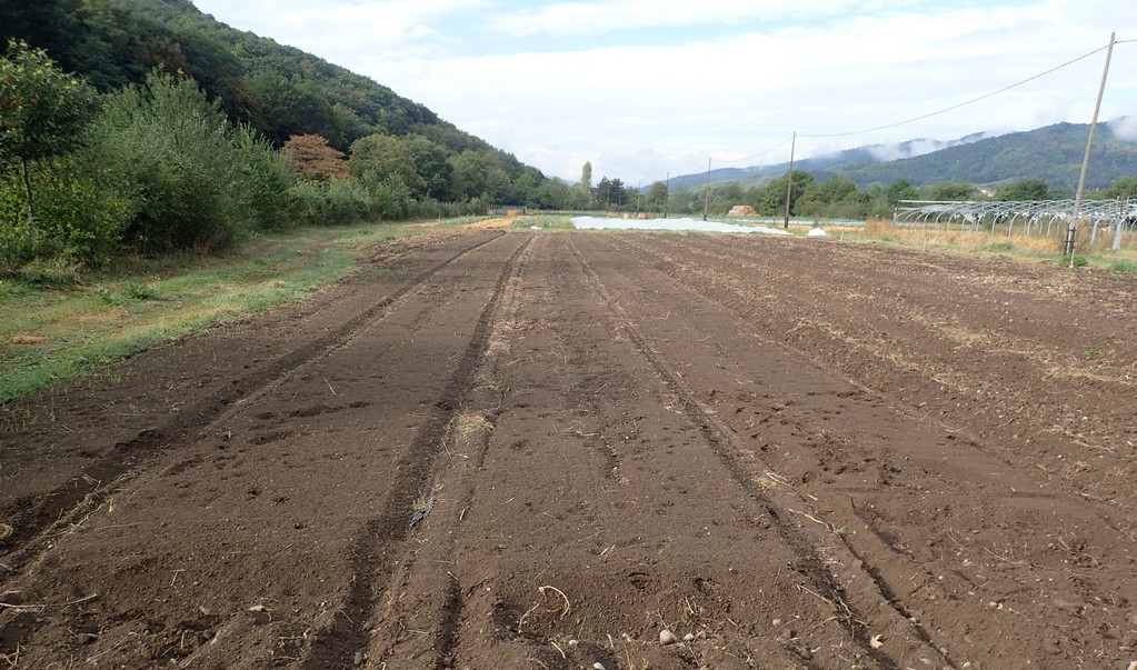 Photo du système référence après passage de l'enfouisseur de pierres (4 planches)
