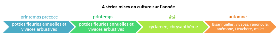Succession culturale horticole site Pro