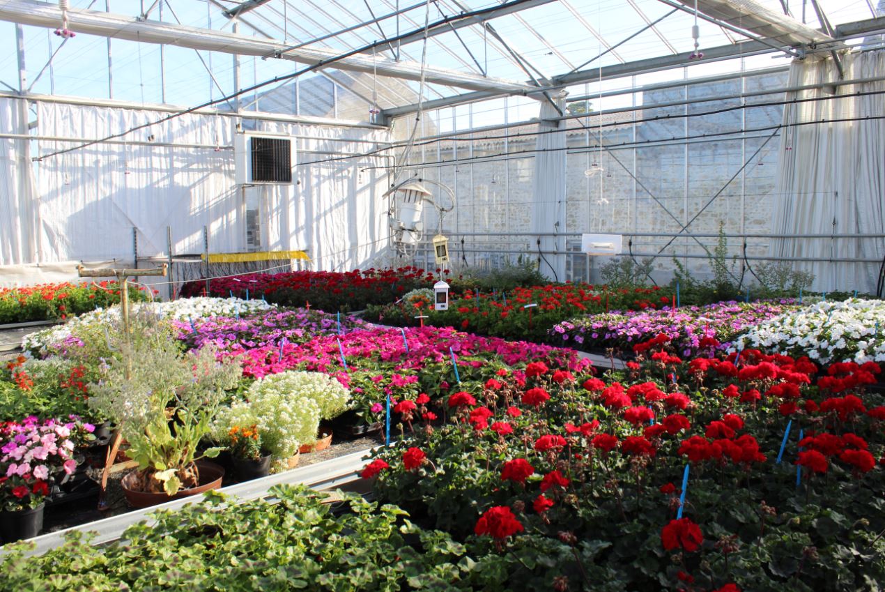 Système de culture réalisé à ALB-CDHRC pour le projet HORTIPOT 2