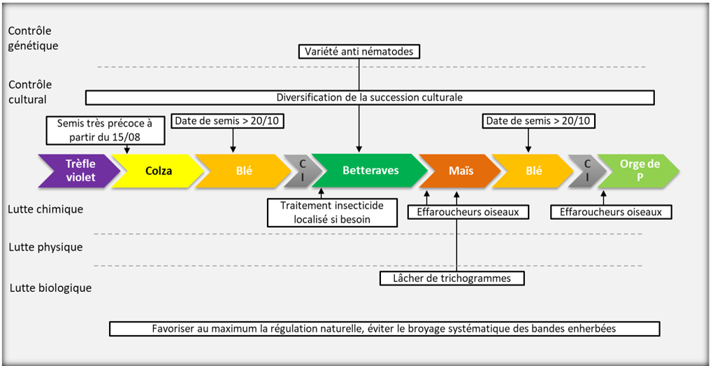 schéma décisionnel des gestion des ravageurs système T5