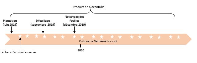 calendrier cultural pour Gerbera, DEPHY 2.ZERHO