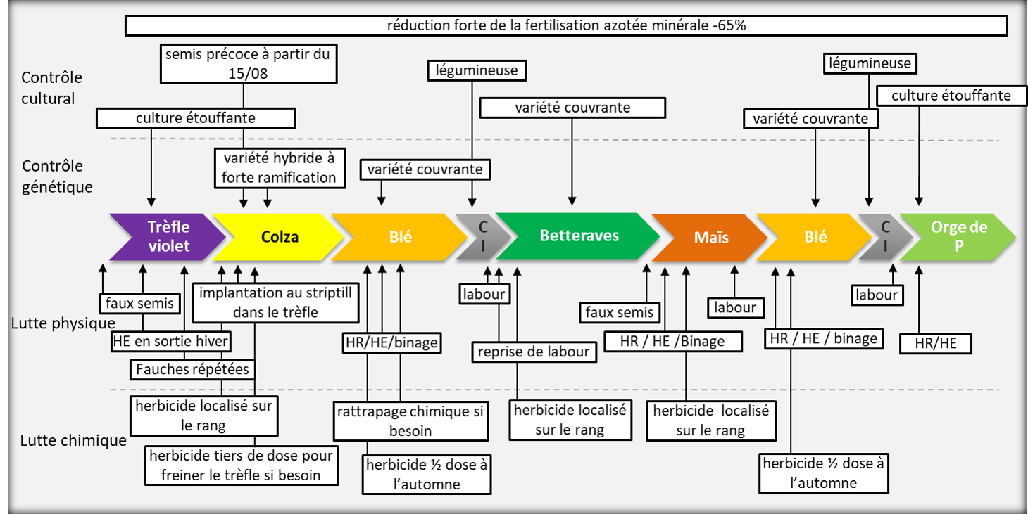 schéma décisionnel de gestion des adventices système T5