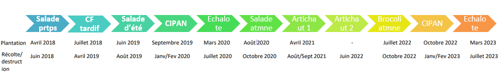 Succession culturale Caté Rotation A