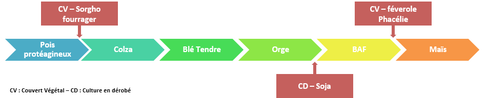 Succession culturale mise en place