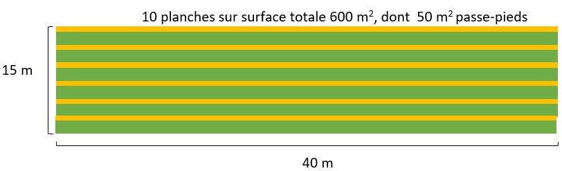 Surface étudiée du SdC
