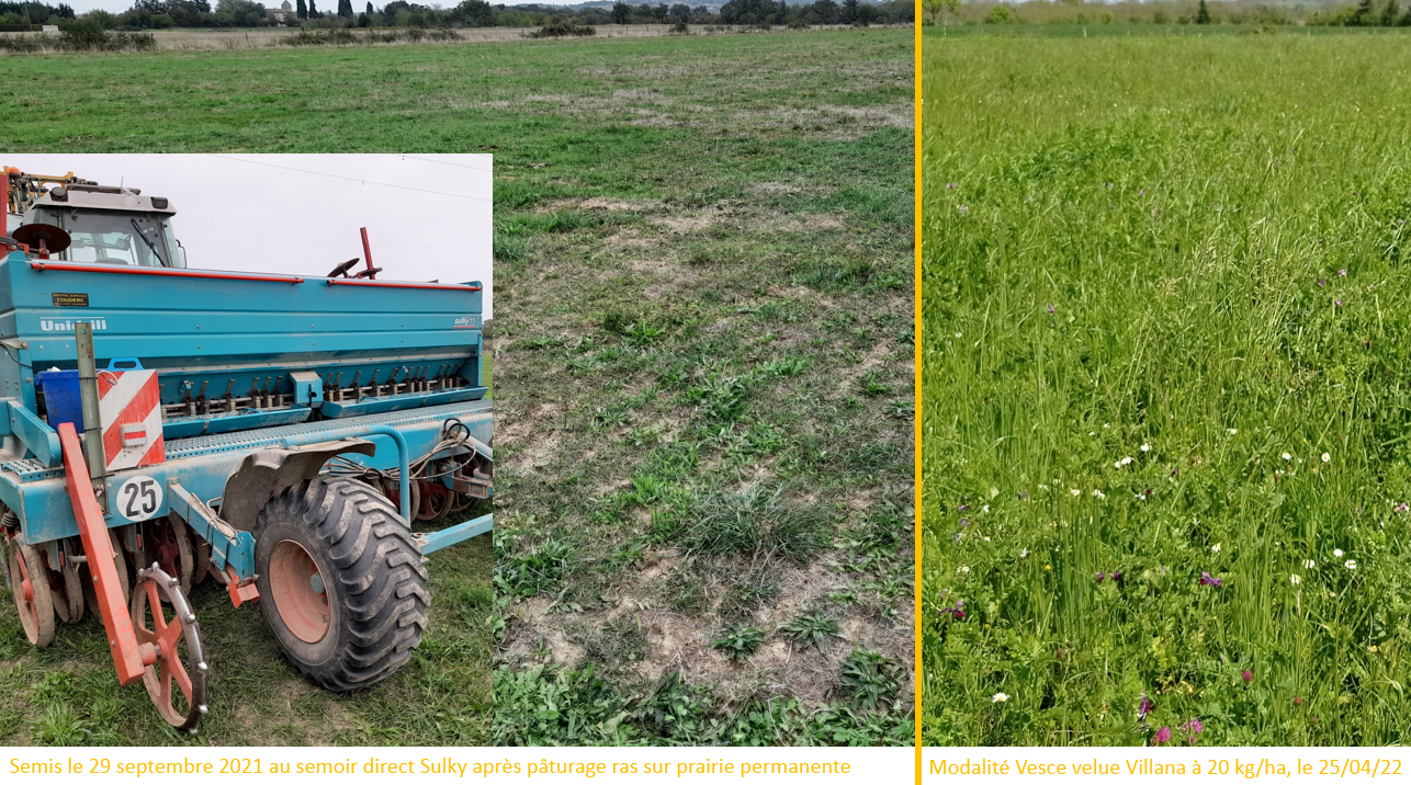 Essais 2022 sursemis de légumineuses au Carlaret (09) (Source : CA09)