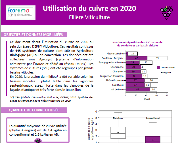 synthèse cuivre viticulture