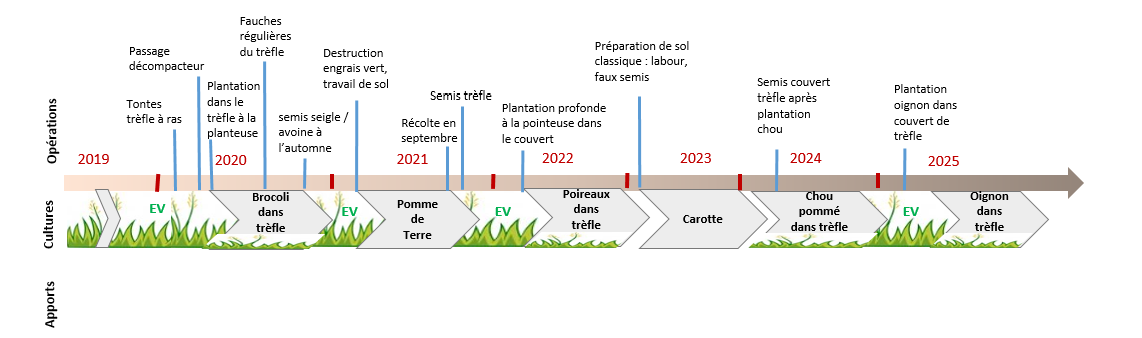 successions culturales court circuit
